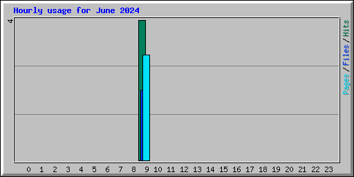 Hourly usage for June 2024