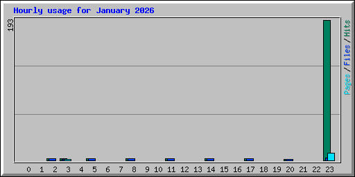 Hourly usage for January 2026