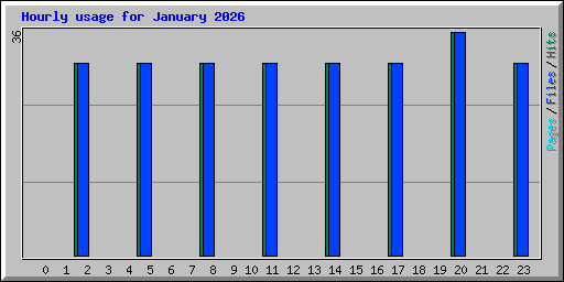 Hourly usage for January 2026