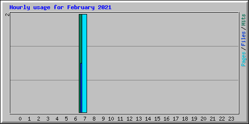 Hourly usage for February 2021