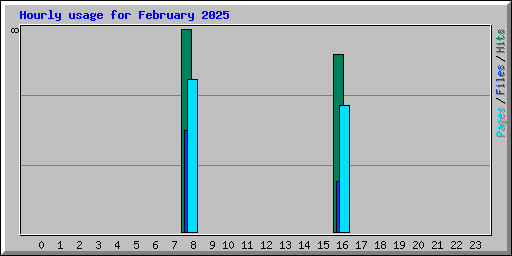 Hourly usage for February 2025