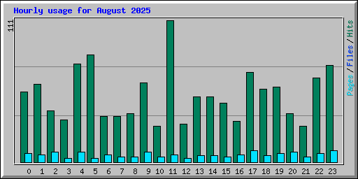 Hourly usage for August 2025