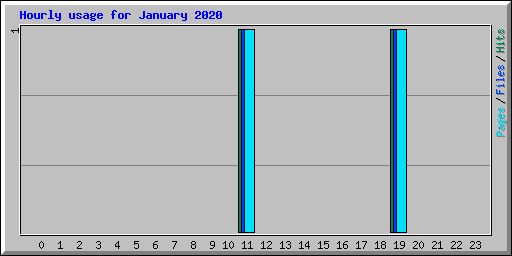Hourly usage for January 2020