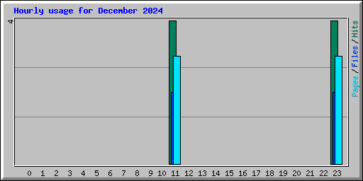 Hourly usage for December 2024