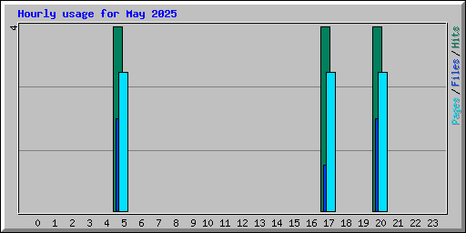 Hourly usage for May 2025