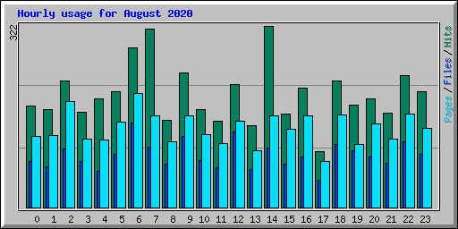 Hourly usage for August 2020