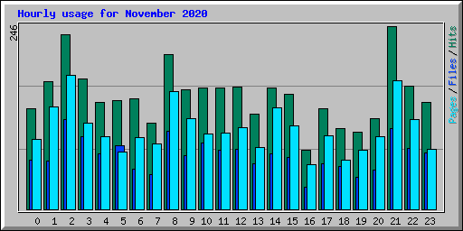 Hourly usage for November 2020