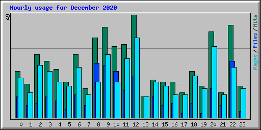 Hourly usage for December 2020