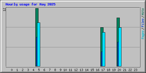 Hourly usage for May 2025