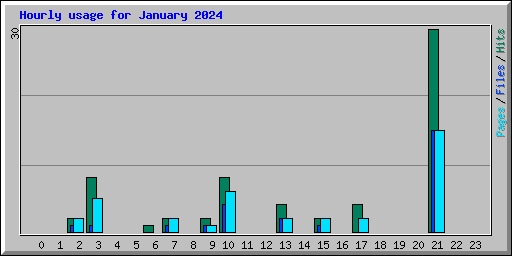 Hourly usage for January 2024