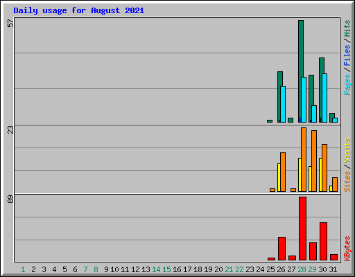 Daily usage for August 2021