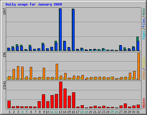 Daily usage for January 2020