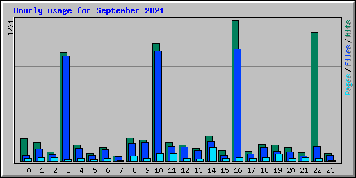 Hourly usage for September 2021