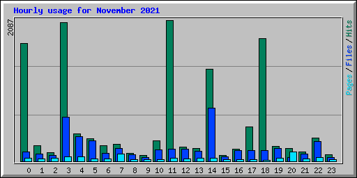 Hourly usage for November 2021