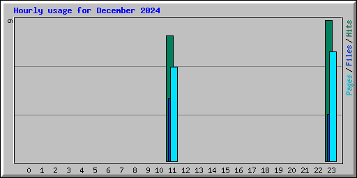 Hourly usage for December 2024