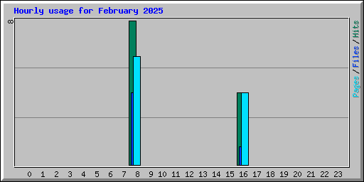 Hourly usage for February 2025