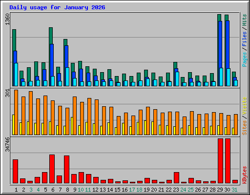 Daily usage for January 2026
