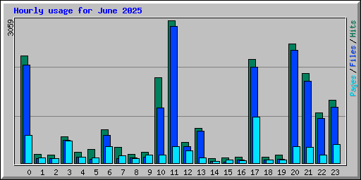 Hourly usage for June 2025