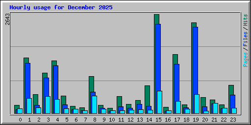 Hourly usage for December 2025