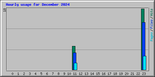 Hourly usage for December 2024
