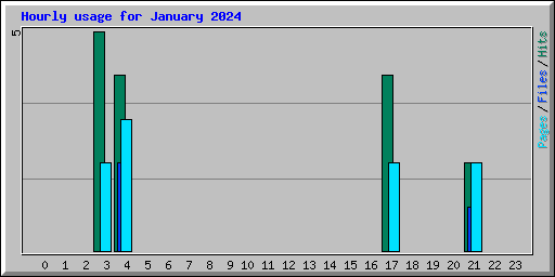 Hourly usage for January 2024